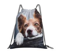 Hnnkloy Brown Border Collie Bokeh God With Yellow Eyes, Drawstring Backpack Unisex Sport Gym Bag Casual Daypack Drawstring Sackpack