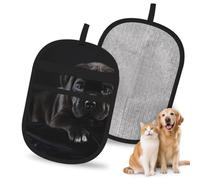 Hnnkloy Cane Corso Pets Puppy Black Cane Corso, 2 Pack Pet Hair Removal Gloves For Bed,Carpet,Clothes,Sofa,Static Grooming Glove For Dogs & Cats
