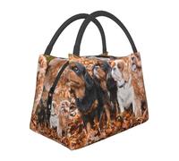 Hnnkloy Cavalier King Charles Spaniel Autumn Puppies, Portable Lunch Bag, Insulated Tote Bag Durable Lunch Box Reusable Cooler Bag