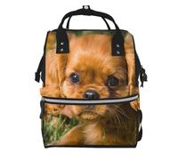 Hnnkloy Cavalier King Charles Spaniel Brown Curly Dogs, Large Capacity Mummy Backpack Diaper Bag Travel Backpack for Outdoor