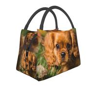 Hnnkloy Cavalier King Charles Spaniel Brown Curly Dogs, Portable Lunch Bag, Insulated Tote Bag Durable Lunch Box Reusable Cooler Bag
