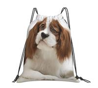 Hnnkloy Cavalier King Charles Spaniel Brown Spaniel, Drawstring Backpack Unisex Sport Gym Bag Casual Daypack Drawstring Sackpack