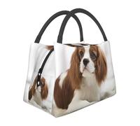 Hnnkloy Cavalier King Charles Spaniel Brown Spaniel, Portable Lunch Bag, Insulated Tote Bag Durable Lunch Box Reusable Cooler Bag