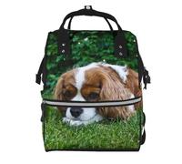 Hnnkloy Cavalier King Charles Spaniel Brownish White, Large Capacity Mummy Backpack Diaper Bag Travel Backpack for Outdoor