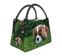 Hnnkloy Cavalier King Charles Spaniel Brownish White, Portable Lunch Bag, Insulated Tote Bag Durable Lunch Box Reusable Cooler Bag