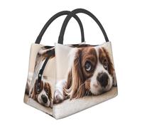 Hnnkloy Cavalier King Charles Spaniel Cute Dogs Pets, Portable Lunch Bag, Insulated Tote Bag Durable Lunch Box Reusable Cooler Bag