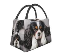 Hnnkloy Cavalier King Charles Spaniel Dog, Portable Lunch Bag, Insulated Tote Bag Durable Lunch Box Reusable Cooler Bag