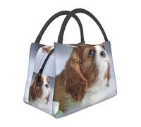 Hnnkloy Cavalier King Charles Spaniel Face, Portable Lunch Bag, Insulated Tote Bag Durable Lunch Box Reusable Cooler Bag