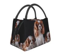 Hnnkloy Cavalier King Charles Spaniel Mother with Cubs, Portable Lunch Bag, Insulated Tote Bag Durable Lunch Box Reusable Cooler Bag