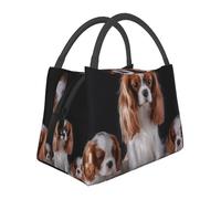 Hnnkloy Cavalier King Charles Spaniel Mother with Cubs, Portable Lunch Bag, Insulated Tote Bag Durable Lunch Box Reusable Cooler Bag