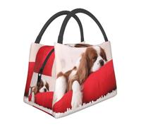 Hnnkloy Cavalier King Charles Spaniel Pattern, Portable Lunch Bag, Insulated Tote Bag Durable Lunch Box Reusable Cooler Bag