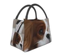 Hnnkloy Cavalier King Charles Spaniel Pets Puppy Dogs, Portable Lunch Bag, Insulated Tote Bag Durable Lunch Box Reusable Cooler Bag