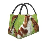 Hnnkloy Cavalier King Charles Spaniel, Portable Lunch Bag, Insulated Tote Bag Durable Lunch Box Reusable Cooler Bag
