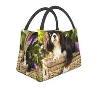Hnnkloy Cavalier King Charles Spaniel, Portable Lunch Bag, Insulated Tote Bag Durable Lunch Box Reusable Cooler Bag