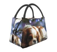 Hnnkloy Cavalier King Charles Spaniel Small Spaniel, Portable Lunch Bag, Insulated Tote Bag Durable Lunch Box Reusable Cooler Bag