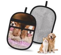 Hnnkloy Cavalier King Charles Spaniel White Brown Dogs, 2 Pack Pet Hair Removal Gloves For Bed,Carpet,Clothes,Sofa,Static Grooming Glove For Dogs & Cats
