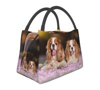 Hnnkloy Cavalier King Charles Spaniel White Brown Dogs, Portable Lunch Bag, Insulated Tote Bag Durable Lunch Box Reusable Cooler Bag
