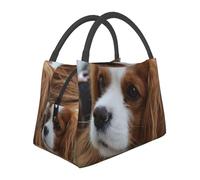 Hnnkloy Cute Cavalier King Charles Spaniel, Portable Lunch Bag, Insulated Tote Bag Durable Lunch Box Reusable Cooler Bag