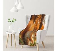 Hnnkloy Cute Squirrel Eating Nuts,Soft Blanket for Couch Sofa Bed Warm Anti-Pilling Flannel Plush Throw Blanket 76 X 102 cm