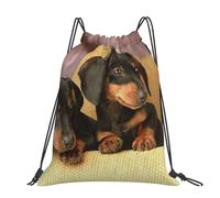 Hnnkloy Cute Two Dachshund Dog Print, Drawstring Backpack Unisex Sport Gym Bag Casual Daypack Drawstring Sackpack