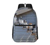 Hnnkloy Dogs Border Collie Shetland SheepDogs Alaskan, 17 Inch Backpack With Pockets Casual Daypack Water Resistant School Bag