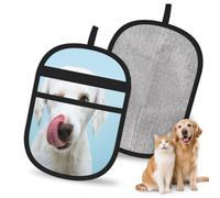 Hnnkloy Funny Labrador, 2 Pack Pet Hair Removal Gloves For Bed,Carpet,Clothes,Sofa,Static Grooming Glove For Dogs & Cats