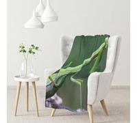 Hnnkloy Green Praying-Mantis,Soft Blanket for Couch Sofa Bed Warm Anti-Pilling Flannel Plush Throw Blanket 76 X 102 cm