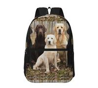 Hnnkloy Labrador Retrievers Dogs Black Golden White Brown, 17 Inch Backpack With Pockets Casual Daypack Water Resistant School Bag