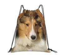 Hnnkloy Lovely Sheltie Dog, Drawstring Backpack Unisex Sport Gym Bag Casual Daypack Drawstring Sackpack