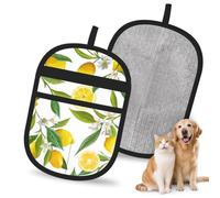 Hnnkloy Patterned Exotic Lemon Tree Branches Yummy Delicious, 2 Pack Pet Hair Removal Gloves For Bed,Carpet,Clothes,Sofa,Static Grooming Glove For Dogs & Cats