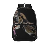 Hnnkloy Python Snake, 17 Inch Backpack With Pockets Casual Daypack Water Resistant School Bag