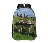 Hnnkloy Small Donkey Meadows, 17 Inch Backpack With Pockets Casual Daypack Water Resistant School Bag