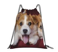 Hnnkloy Welsh Corgi Dog, Drawstring Backpack Unisex Sport Gym Bag Casual Daypack Drawstring Sackpack