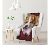 Hnnkloy Welsh Corgi Dog,Soft Blanket for Couch Sofa Bed Warm Anti-Pilling Flannel Plush Throw Blanket 76 X 102 cm