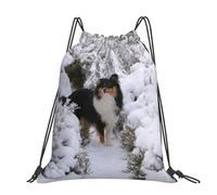 Hnnkloy Winter Sheltie Wallpaper, Drawstring Backpack Unisex Sport Gym Bag Casual Daypack Drawstring Sackpack