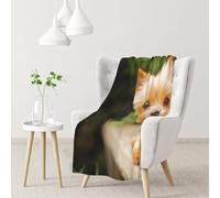 Hnnkloy Yorkshire Terrier Bokeh Cute Dogs Wall,Soft Blanket for Couch Sofa Bed Warm Anti-Pilling Flannel Plush Throw Blanket 76 X 102 cm