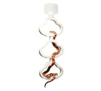 Hnsphui Snake Enrichment Toys | Reptile Climbing Toy Ring - Snake Exploration Accessories | for Enclosure Terrarium Habitat Bearded Dragons Chameleons Iguanas Geckos