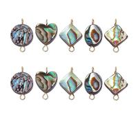 HOBBIESAY 10Pcs 5Styles Natural Abalone Connectors Paua Shell Pendant Round Shape Charms Collector Charms for Necklace Braclet Earring DIY Gifts Jewelry Making