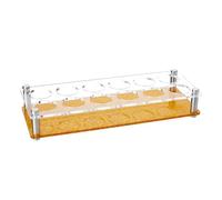 HOBBIESAY 12-Hole Shot Glasses Organizer Acrylic Rectangle Shot Glass Set Shot Glass Tray Holder Clear Shot Glass Tray Gold for Christmas Party Club Bar Drinking 29x11cm