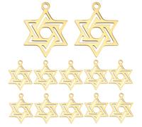 HOBBIESAY 12Pcs 316L Surgical Stainless Steel Star of David Charms 18K Gold Plated Tiny Six Pointed Star Charms Hexagram Charm Jewish Stars Pendants for Women Jewelry Making Hole: 1.2mm