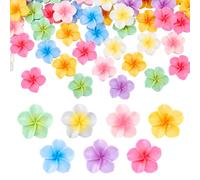HOBBIESAY 80PCS 7 Color Flower Cabochons Flatback Embellishment Tiny Flowers Beads Resin 3D Mini Hawaii Floral Ocean Sea Beach Cabochon for Jewelry Making Scrapbooking Embellishments Decor DIY Crafts