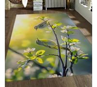 HOBBOY Spring Garden Flowers Carpets Cute Birds Branch and Leaf Print Area Rug 60 x 100 cm Low Pile Floor Mat Living Room Bedroom Entrance Washable