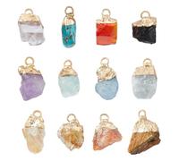 Hobbspring 12pcs Natural Gemstone Pendants 12 Styles Raw Rough Pendant Charms Nuggets Charms with Golden Tone Metal Loops for Necklace Bracelet Earring Jewelry Making