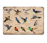 Hobbspring 1pc Vintage Metal Tin Sign 20x30cm Retro Hummingbird Guide Signs Educational Bird Identification Poster for Home Office School Classroom Wall Decor Accessories