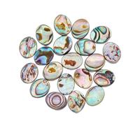 Hobbspring 20Pcs Natural Abalone Shell Beads Paua Shell Beads Flat Shell Beads Oval Abalone Shell Beads Loose Spacer Beads for Earring Necklace Bracelet Jewelry Making