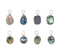Hobbspring 8Pcs 4 Styles Abalone Shell Charms Paua Shell Pendant Sea Shell Pendant with Copper Wire Wrapped Colorful Geometric Pendants for Earring Necklace Bracelet Jewelry Making