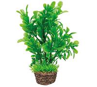 Hobby Aquaristik Artificial Plant Flora Stone 3 I Deceptively Real Looking I 4 x 13 cm