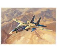 Hobby Boss 81771 Grumman F-14A Tomcat Tomcat IRIAF 1:48 Aircraft Model Kit