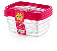 Hobby Life 0.3 Litre 3-Piece Plastic Trend Rectangular Storage/Food Saver Box Set, Transparent