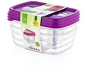 Hobby Life 0.6 Litre 3-Piece Plastic Trend Rectangular Storage/Food Saver Box Set, Transparent